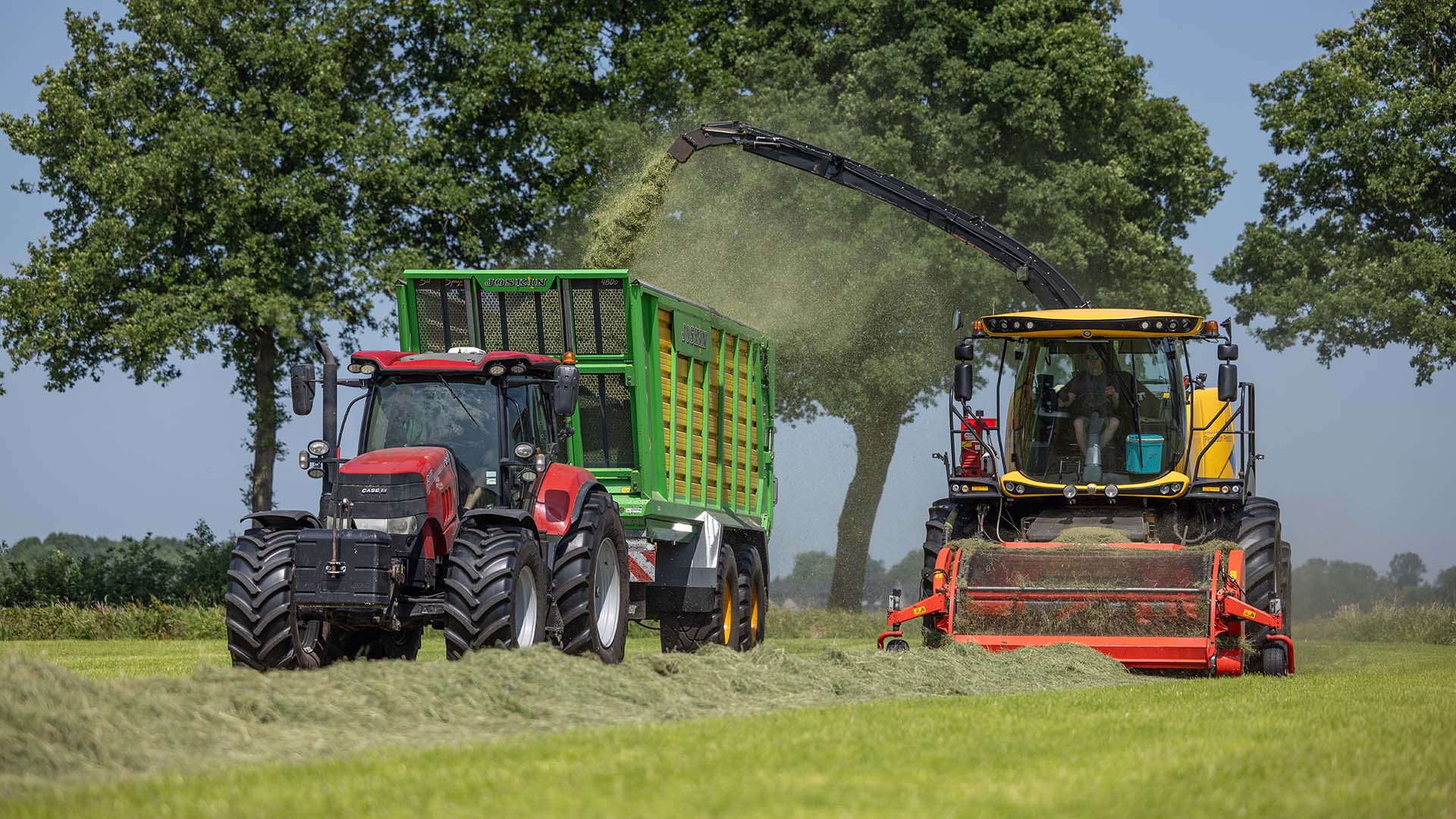 Kuilkwaliteit verbeteren? 5 praktische tips met EM Silage