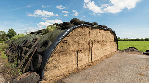 Onderzoek: EM Silage bij eerste snede Engels raaigras