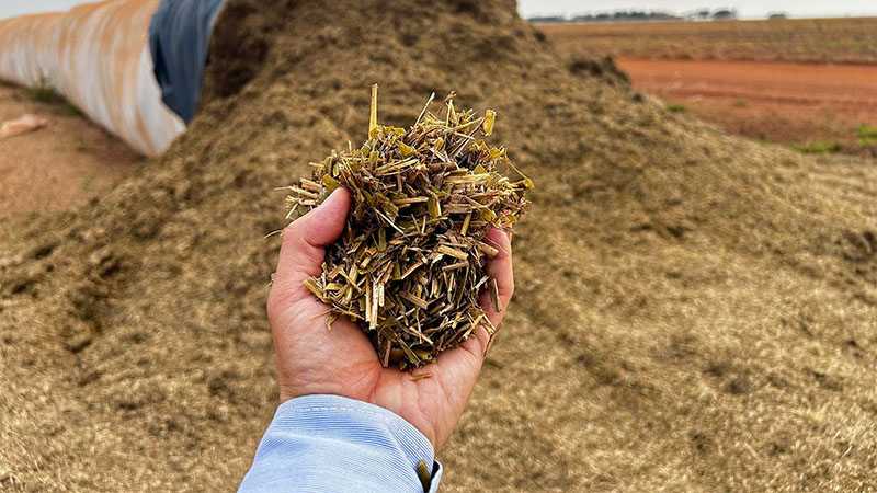 Onderzoek: EM Silage bij Corn Cob Mix – fermentatie en aerobe stabiliteit